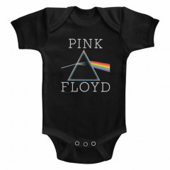 Pink Floyd dark side of the moon body